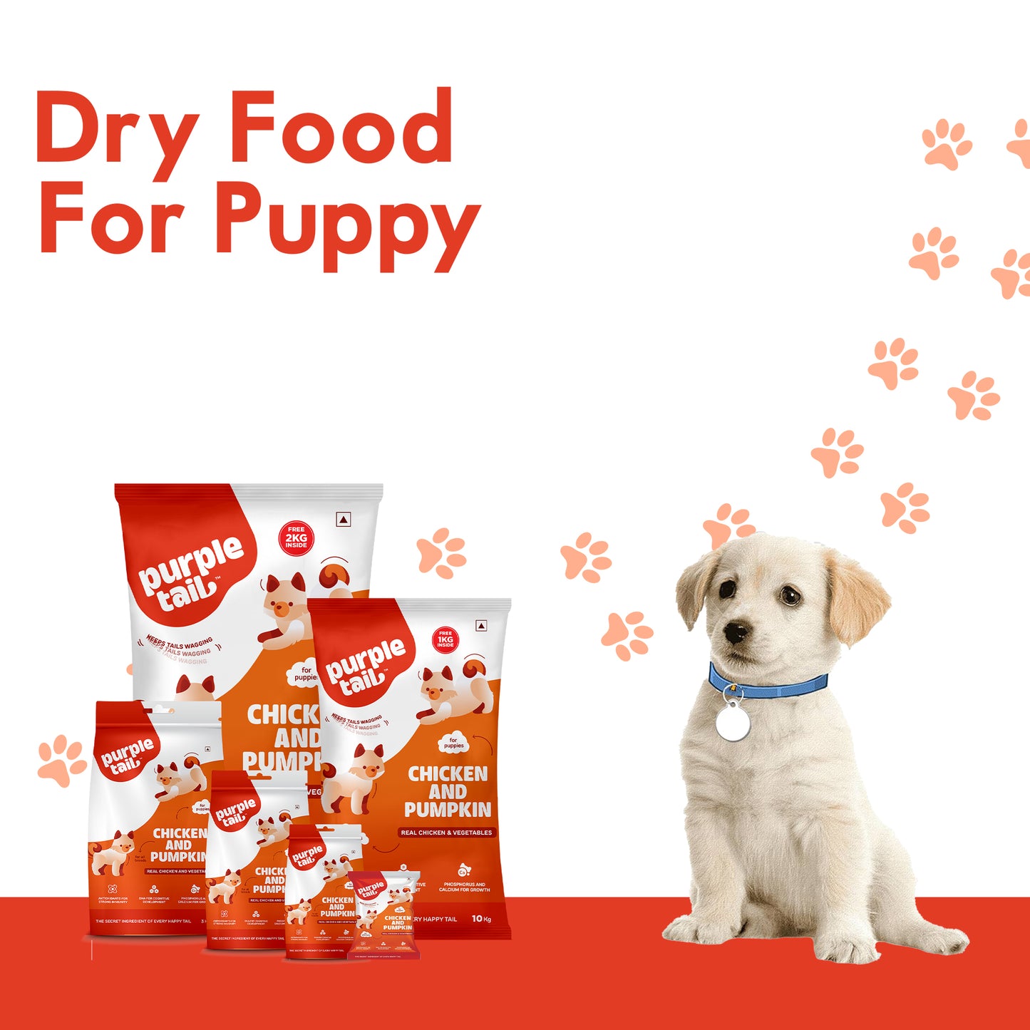 DRY FOOD CHICKEN AND PUMPKIN FOR PUPPIES