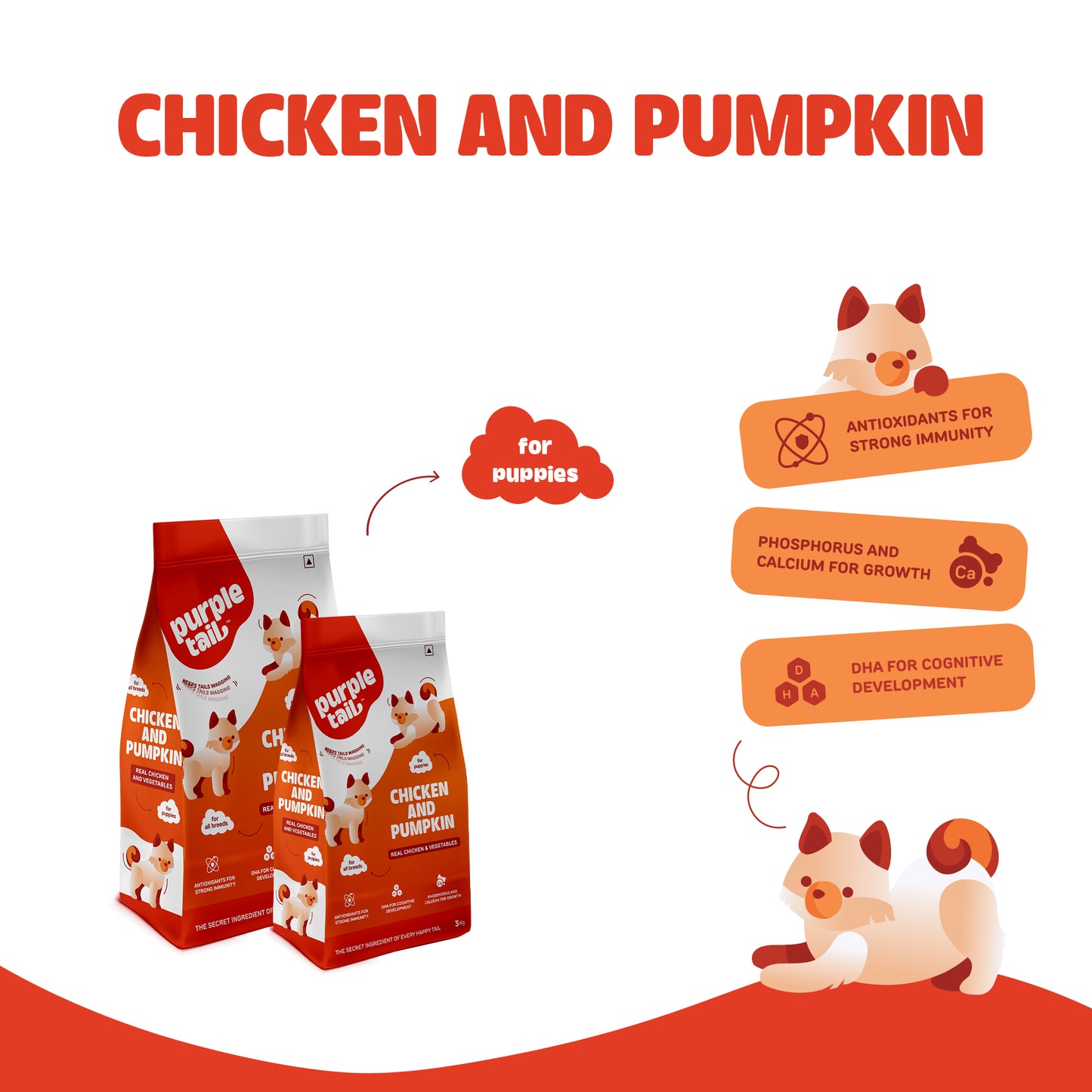 DRY FOOD CHICKEN AND PUMPKIN FOR PUPPIES